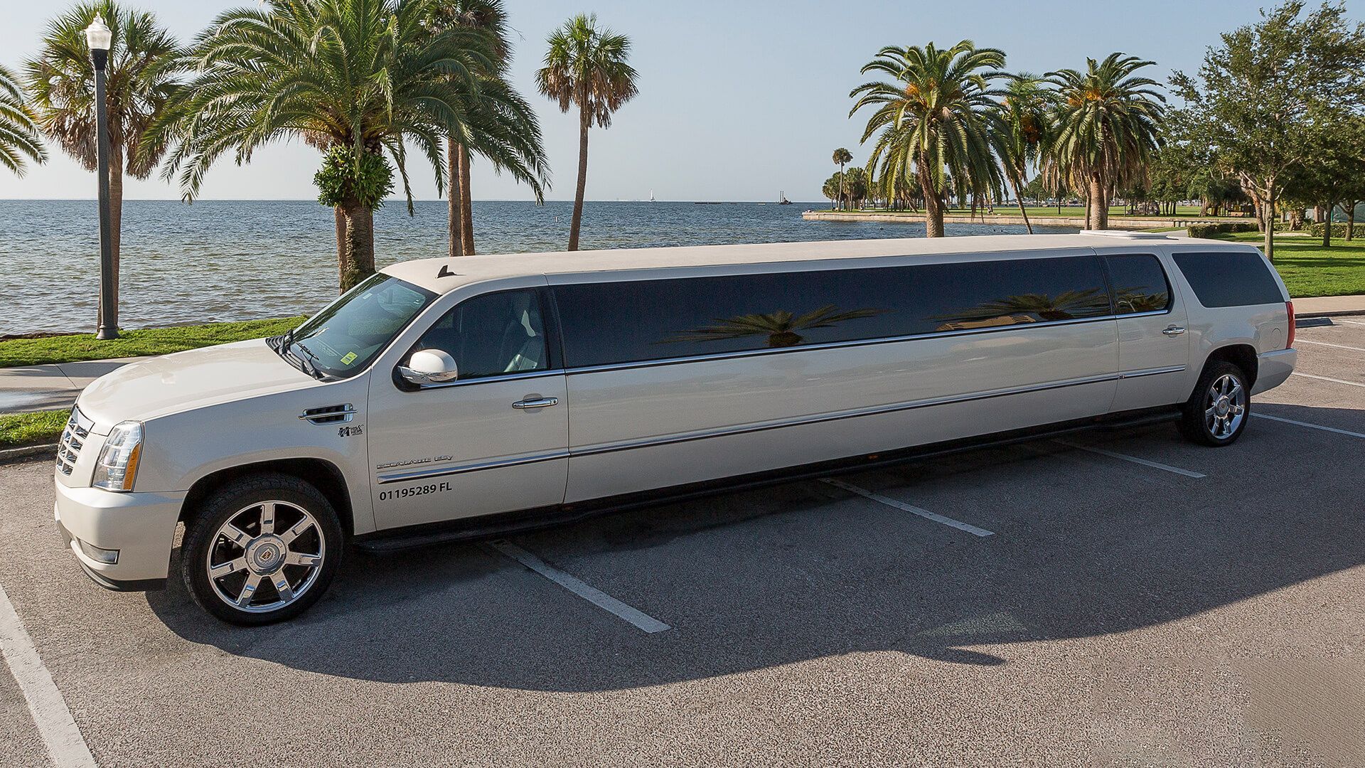 Elegant limousine near palm trees and water