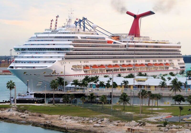 Large cruise liner at port