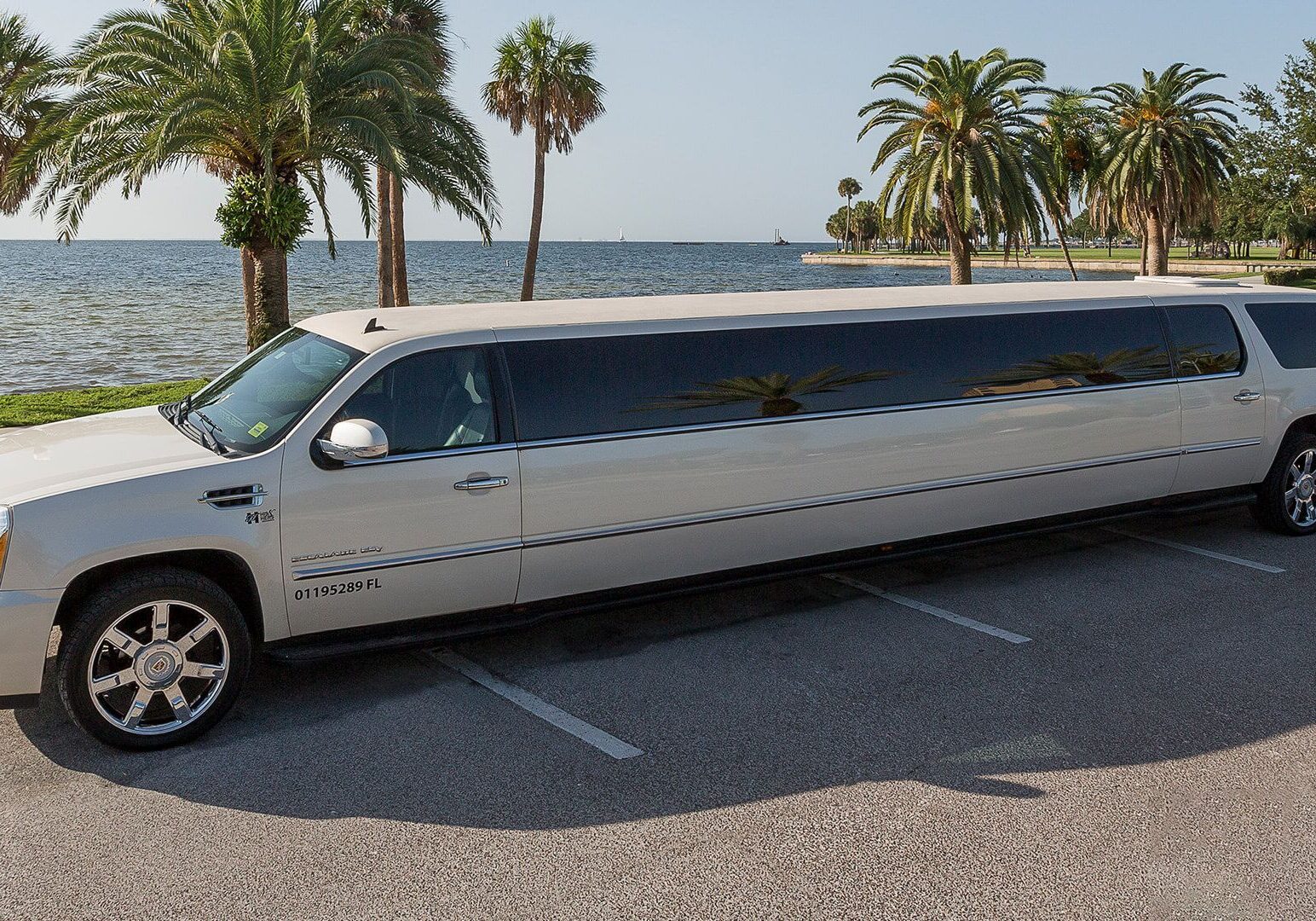 Elegant limousine near palm trees and water