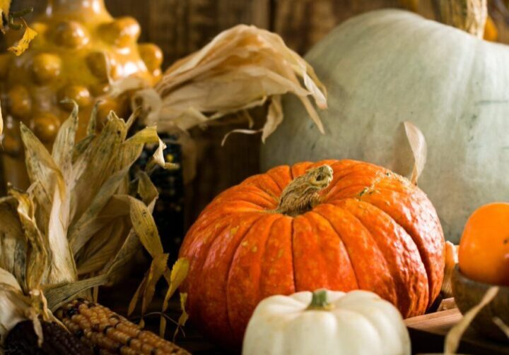 Rustic fall scene with pumpkins and corn